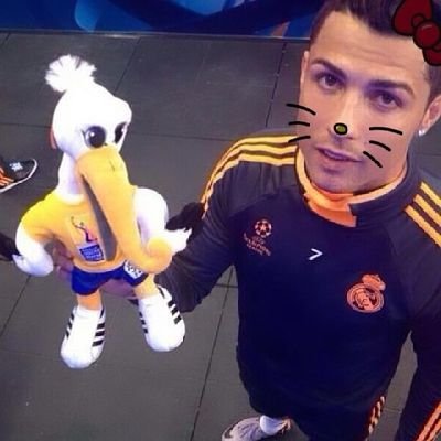 coringabota7's profile picture. 🤡🤡🤡