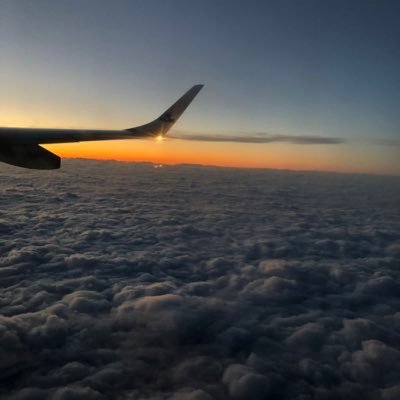 Chung389966's profile picture. @nftalphashow