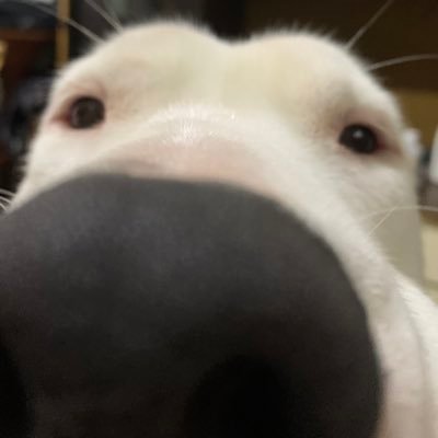 Dylangtf20's profile picture. Ig lopez_mdrzz20