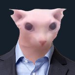 binguslover32 (@cllap_bingus) 's Twitter Profile