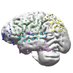 CHLA Epilepsy Fellowship (@chlaepilepsy) Twitter profile photo CHLA Epilepsy Fellowship (@chlaepilepsy) Twitter profile photo