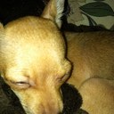 brandon lu - @brandonlu_lu - Twitter