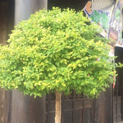 热爱祖国🇨🇳,分享美好🎈。欢迎互fo,置顶点赞,漏关或需赞可留言提醒,定期清理不回关。不喜私聊,黄推勿扰,谢谢!部分内容来自网络,侵删!
