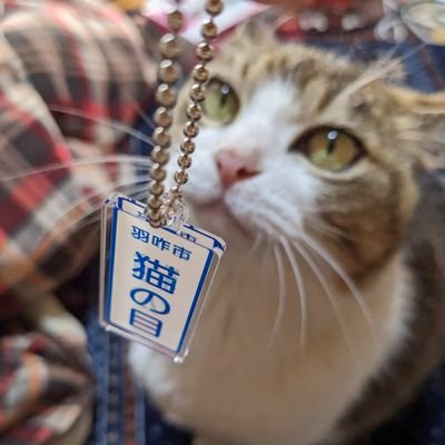 石川県金沢市在住のへなちょこ社会人です。出身は羽咋市。山から始まる名字は約260種類あるらしい。写真はスマホ(pixel5)で撮ってます。自然風景/猫/庶民的な食べ物が好きです。前は風景写真メインだったけど、最近はご飯作る練習してるのでご飯写真メインになっちゃってます。