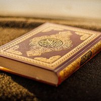 Quran (@qurantranslate7) 's Twitter Profile Photo Quran (@qurantranslate7) 's Twitter Profile Photo