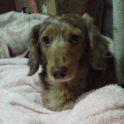 52E4Qovvm4OsMGT's profile picture. LUNA SEAのファンになって
まだ、日が浅いです。
真矢さん、INORANさん、Jさん
が大好きですが、基本皆さん
大好きなので、箱推しです。
自分なりに、応援して行けたらと
思います。