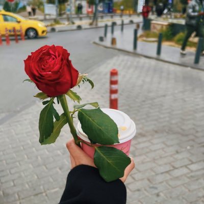 Rna3__'s profile picture. -