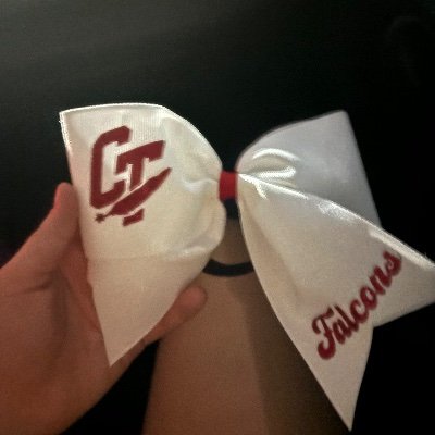 ct cheerleader!📣❤️