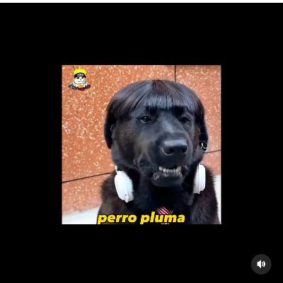 thinkdeep1583's profile picture. 