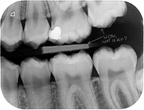020er's profile picture. leven en laten leven en zeker NOOIT te oud om te leren! geen klus zo raar of het komt voor elkaar......