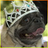 marmisaro's profile image