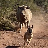 Lisa Lundberg (@lisalundy_lmft) 's Twitter Profile