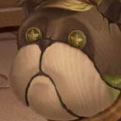 sund14349001's profile picture. 请给我一口饭吃吧😭