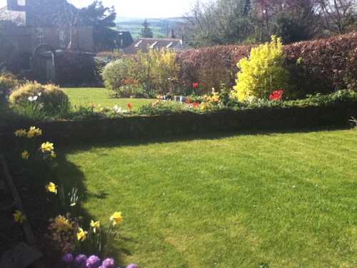 fifi463's profile picture. 