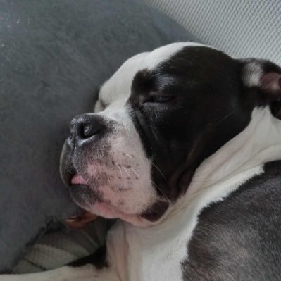 KapanycCS's profile picture. trying to enjoy cs(doesn’t work) powerwhiffer