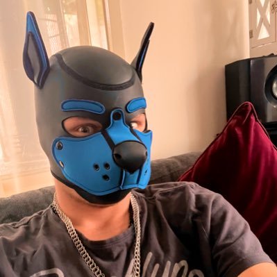 big dick? nah big heart💙 boyfriend and master is the amazing @Pup_Roooo, say hello, I won’t bite, only nom🐶🇦🇺🏳️‍🌈 final request is may I sniff you? plz🥺