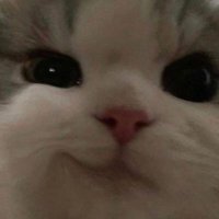 .🌱 (@mant66y) 's Twitter Profile Photo .🌱 (@mant66y) 's Twitter Profile Photo