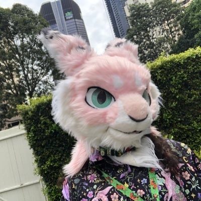 starlight || he/him gray ace || 29 || theta delta type furry || fursuit maker @bunnderground || Meanjin based (mostly sfw, minors DNI)