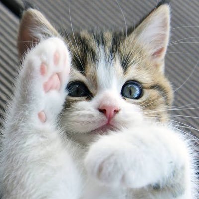 _lanayaaaaaa's profile picture. 