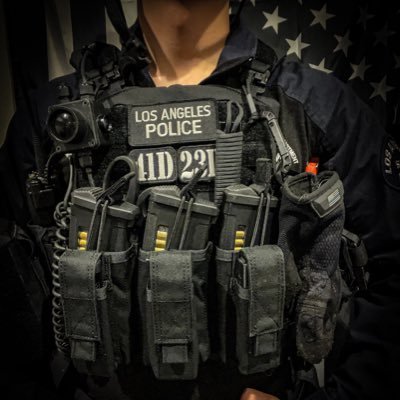 アクセスオーバーシーズ製 SWAT ベスト 値下げ依頼OK アクセスオーバー