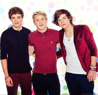 Liam, Nialler, Zayn, Hazza and Boo Bear. These boys just complete my life.