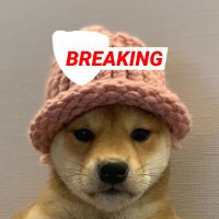 RLEsports Breaking (@rlebreaking) 's Twitter Profile