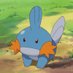 Mudkip (@bebankeluargamu) Twitter profile photo