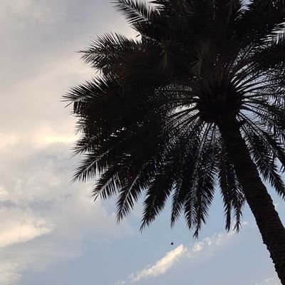 ﴿إِيَّاكَ نَعْبُدُ وَإِيَّاكَ نَسْتَعِينُ﴾
🎗️انقلاب کی چنگاری دلوں میں روشن رہے۔
🎗️ہوا کا اک جھونکا کافی ہے بارود بننے کو۔
