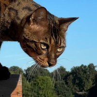 tommo (@morrell26358) 's Twitter Profile Photo tommo (@morrell26358) 's Twitter Profile Photo