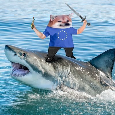 ZMainnet4846's profile picture. 