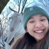 alyssa loo (@alyssamloo) 's Twitter Profile