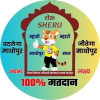 District Election Office Sawai Madhopur (@deoswm) 's Twitter Profile