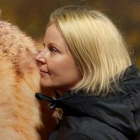 Anne Kaljunen(@AKaljunen) 's Twitter Profile Photo