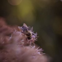 Tanya Watts (@watts_tany4622) 's Twitter Profile