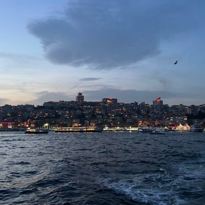 TansEcon's profile picture. 