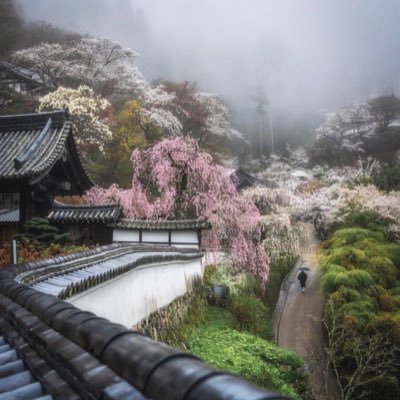 Liaras189178's profile picture. 日本は良い国であり、純粋な国であり、世界の神々の国である。 世界の神々の国です。 私たち一人ひとりが、反日左翼勢力を監視し続けなければならないと思う。 反日左翼勢力を監視し続けなければならないと思う。 私は星新一の大ファンです。 私は日本人とカナダ人のハーフです🇯🇵🇨🇦