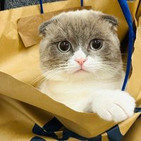 Mr. Yuki 1907 (@mralex1907) 's Twitter Profile