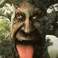 Tree Token Memes (🌳 ,🌳) (@treetokenmemes) 's Twitter Profile