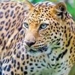 deljll's profile picture. سارددها دائماً غداً أفضل بازن لله🌹 سأظل أذكرك انك أجمل صدفة القدر لي