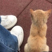 uububbyy (@boppptaaa) 's Twitter Profile
