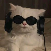 くま (@__oohn) Twitter profile photo