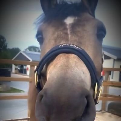 zhngpng23925803's profile picture. 藏器于身 待时而动