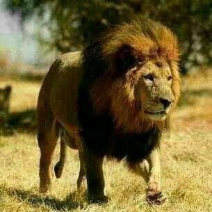 Addmore6567711's profile picture. 