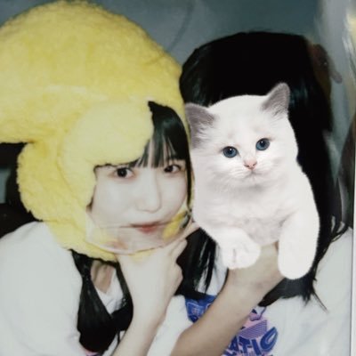 ねるさんのプロフィール画像