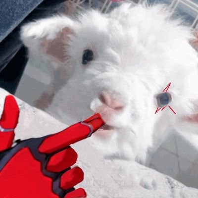 fuwafuwa软fufu (@xingchenta0v0) / Posts / X