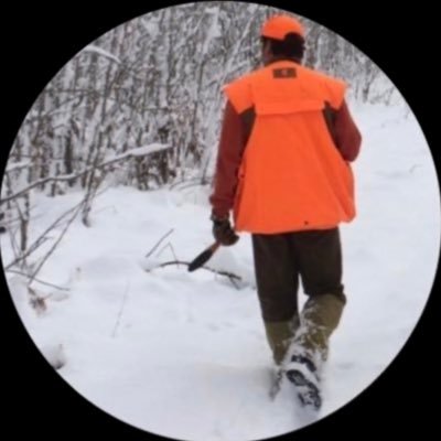 Bob Winkelman Profile