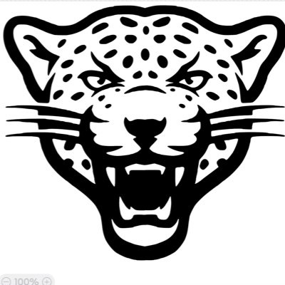 SHSLadyLeopards Profile Picture