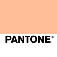 PANTONE(@pantone) 's Twitter Profileg