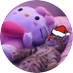 nova (@nxxvaz_) Twitter profile photo nova (@nxxvaz_) Twitter profile photo