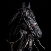 Bullet the Horse (@bullet_osu) 's Twitter Profile